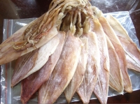 Mua bán mực khô phan thiết