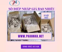Sò Điệp Nhật giá bao nhiêu