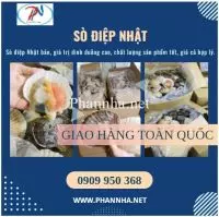 Ăn sò Điệp Nhật có tốt không