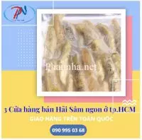 3 cửa hàng bán Hải Sâm ngon ở tp.HCM