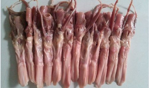 Mua bán lưỡi vịt ở đâu tại tp.hcm